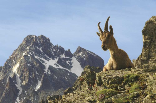 Randonnée pédestre dans le Queyras, Hautes Alpes