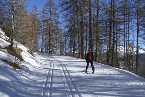 Ski de fond dans le Parc Naturel Régional du Queyras, à la carte ou en stage, avec hébergement à la Maison de Gaudissard !