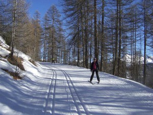 Ski de fond dans le Parc Naturel Régional du Queyras, à la carte ou en stage, avec hébergement à la Maison de Gaudissard !